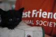 Attempts to Poison Free-Roaming Cats Endangers Wildlife, Pets,...