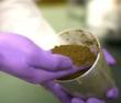 PetroAlgae's Protein Achieves Successful Test Results For Human...