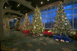 Holiday Trees