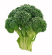 New Broccoli Resources Added to Olericulture Magazine