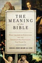 Jacket Image - The Meaning of the BIble: What the Jewish Scriptures and Christian Old Testament Can Teach Us