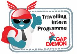 Gap Year Intern