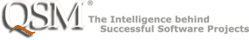Software process estimation