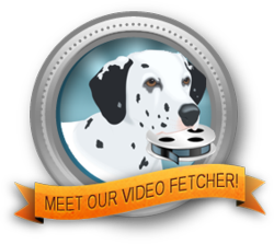 online video converter