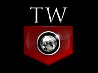 Tungsten World Tungsten Forever Tungsten Wedding Bands