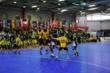 Handballers of the World Unite Again in New York City