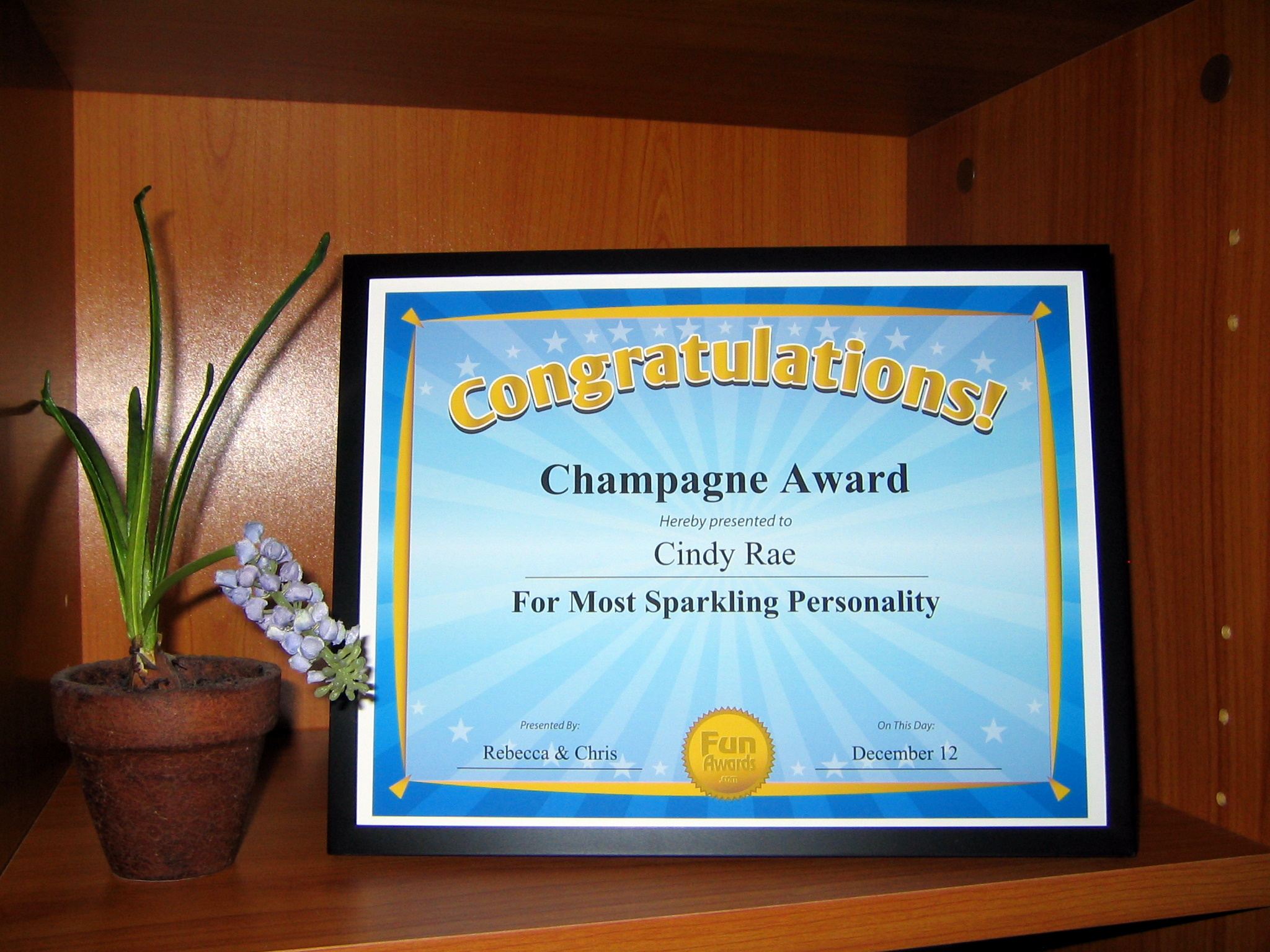 funny award certificates