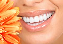 Oral hygiene Products by Dentocare.co.uk
