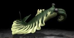 Digital Reconstruction of the Burgess Shale creature Anomalocaris canadensis