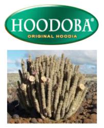 Hoodoba® was the first brand to bring pure Hoodia diet pills to the US.