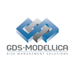 GDS Modellica Celebrates 10 Year Anniversary
