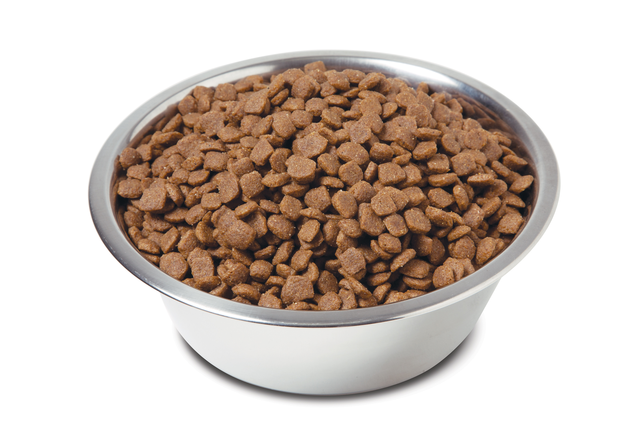 High Protein High Calorie Dog Food