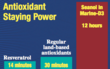 Antiagingsupplementnews.org has Set up a seanol Review Page