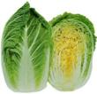 New Chinese Cabbage Resources Published at Olericulture.org