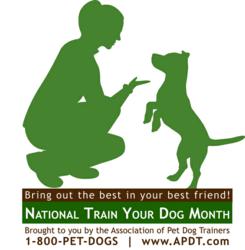 National Train Your Dog Month