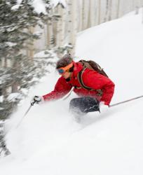 Skier Enjoying the Snow
