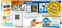 website design, web design, award-winning web design, graphic design, website development, the blu group