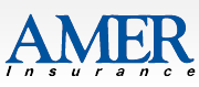 Amer Insurance of Ohio