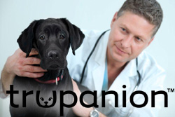 Cat and Dog Nutrition
