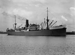 SS Port Nicholson
