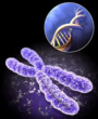 New Genetics and Microbiology Resources Published at ScienceIndex.com