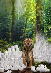 Toilet Paper Linked to Rain Forests Being Flushed Down the Toilet gI 76071 rsz tissue tiger composite art final
