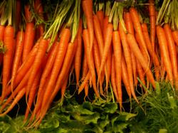 Vitamin A picture