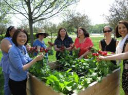 Horgan Enterprises Raised Garden Beds
