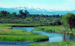 Montana fishing