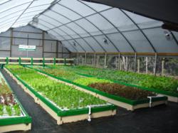 Green Acre Organics