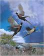 Joshua Spies Releases New Pheasant Piece