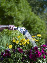 Lawn Water Sprinkler-Pure Rain 302,NANO BUBBLES,OXYGEN-More GROWTH/ No Chemicals 