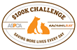 More than 68,000 Animals Saved During 2014 ASPCA Rachael Ray $100K...