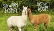 Woop!Wear – Alpaca Clothing for the Great Outdoors Launches New...