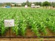New Agricultural Sciences Content at Science Alerts Social Network