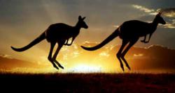 Natural Life Australia