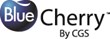 CGS Releases BlueCherry® Omnichannel Merchandise Planning for...