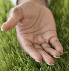 Helping Hand For Second Chance