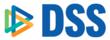 DSS Makes Greater Reading Top 50 Business List