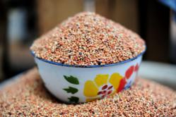 Pic by Neil Palmer (CIAT). Sorghum at Sawla market in Ghana's Northern Region.
