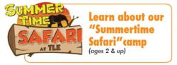 summer camp, child care, Learning Experience Summer Camp