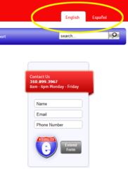 small business web design announce multiligual support