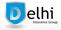 Delhi Insurance Group of Ohio