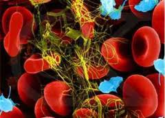 Yasmin severe adverse events threat