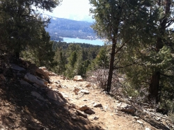 RaceReady Trail Series