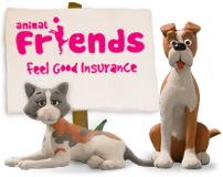 Animal Friends Pet Insurance- The £1 million charity challenge