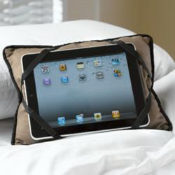 iBuddy iPad Holder