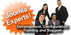 Joomla development and consulting services