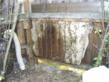 Bay Area Beebusters, Live Bee Removal Services, Announces Live...