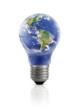 Littman Bros. Lighting Celebrates Earth Day